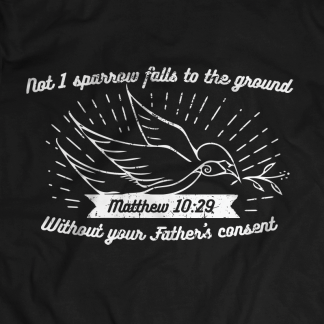 Matt10-29